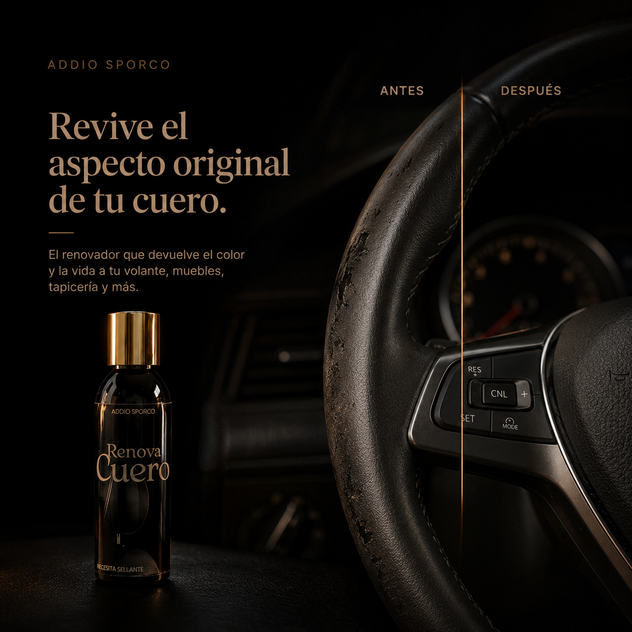 Renova Cueros Carro 60 ML